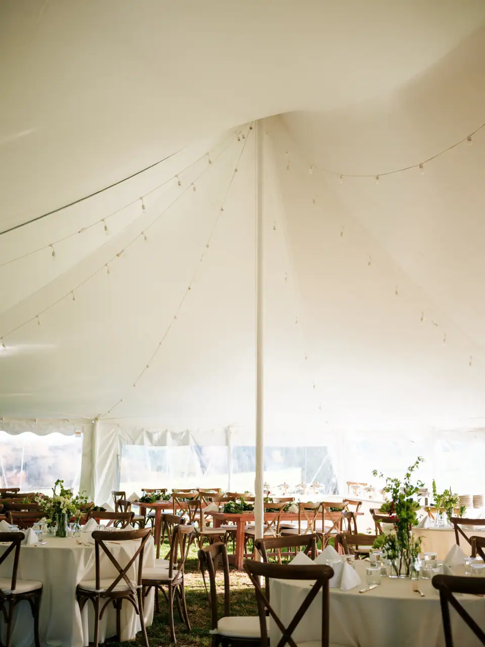 Couple getting married in Champaign, Illinois