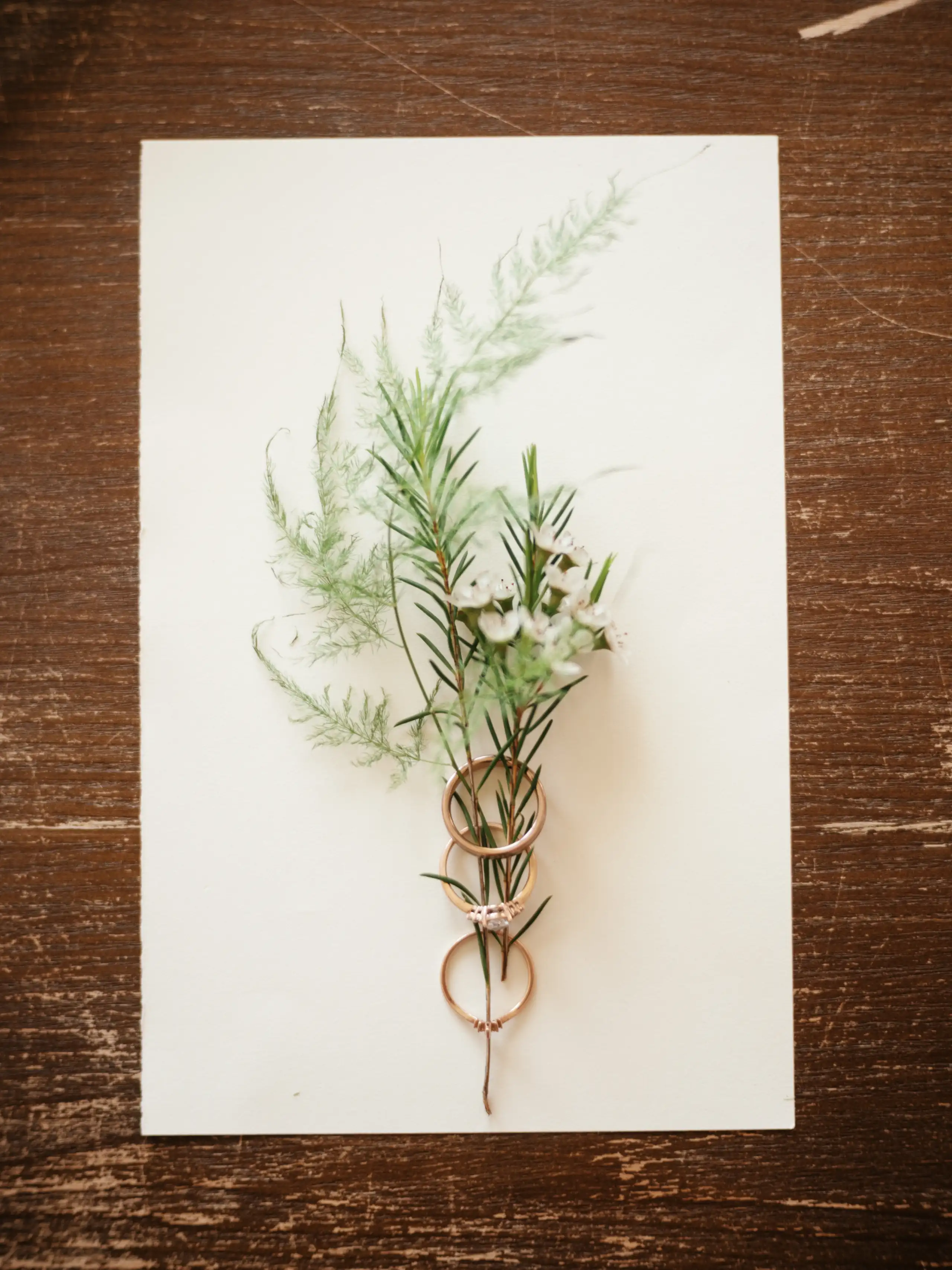 Wedding photography anna jess PINK4412