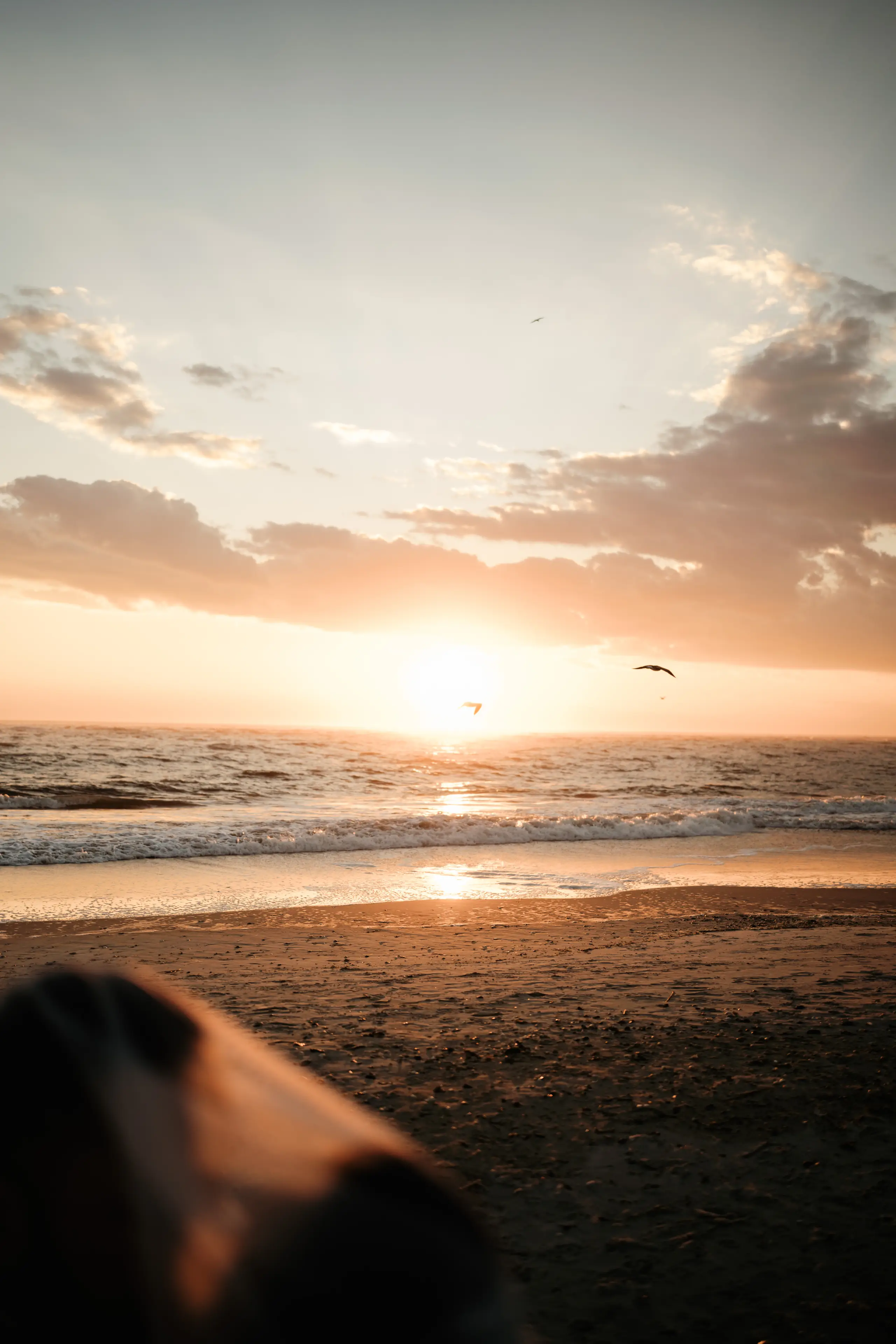 Photography Classes in Wilmington, NC | Wedding Photographer in Wilmington