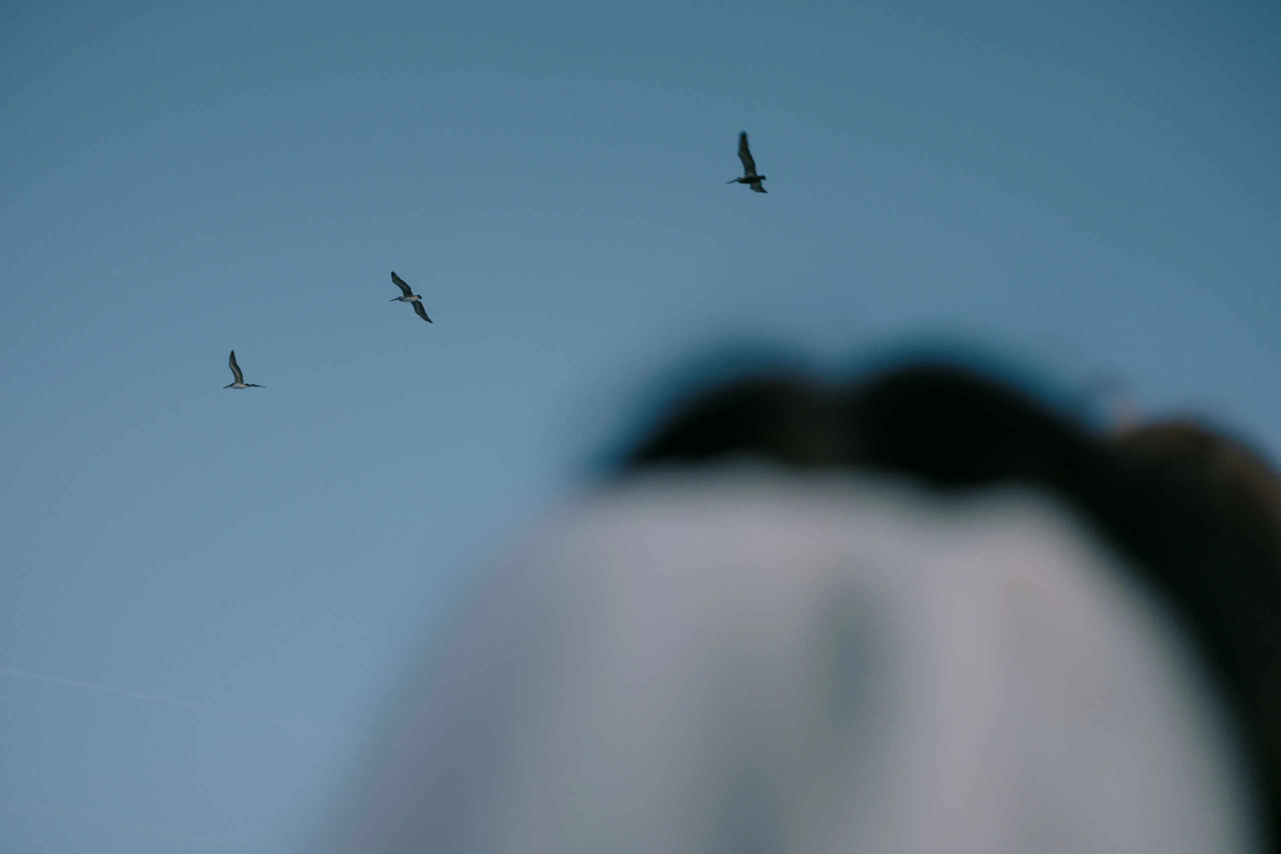 Wedding photography ellie danny PINK5964