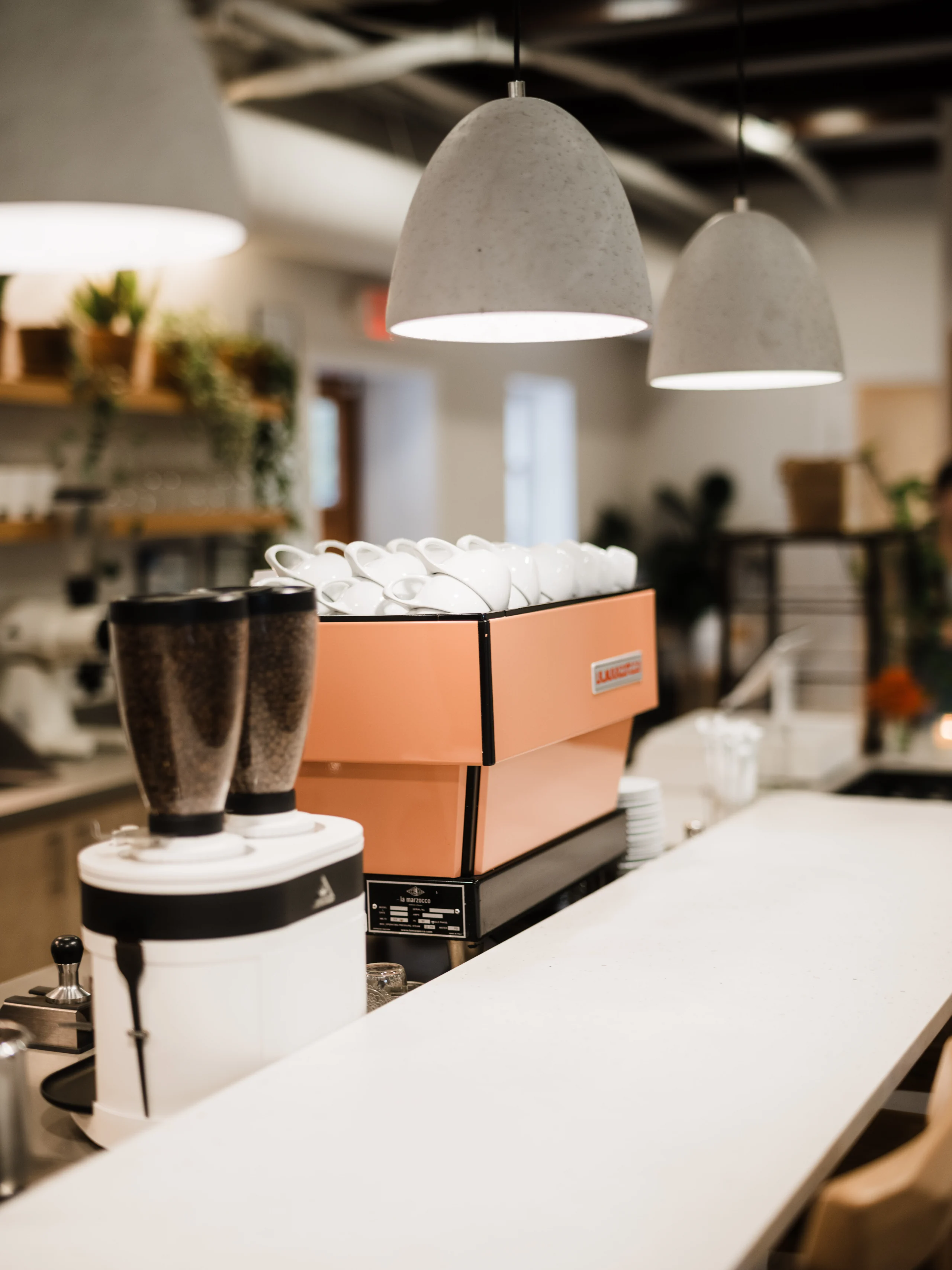 How to get married in Tampa, Florida