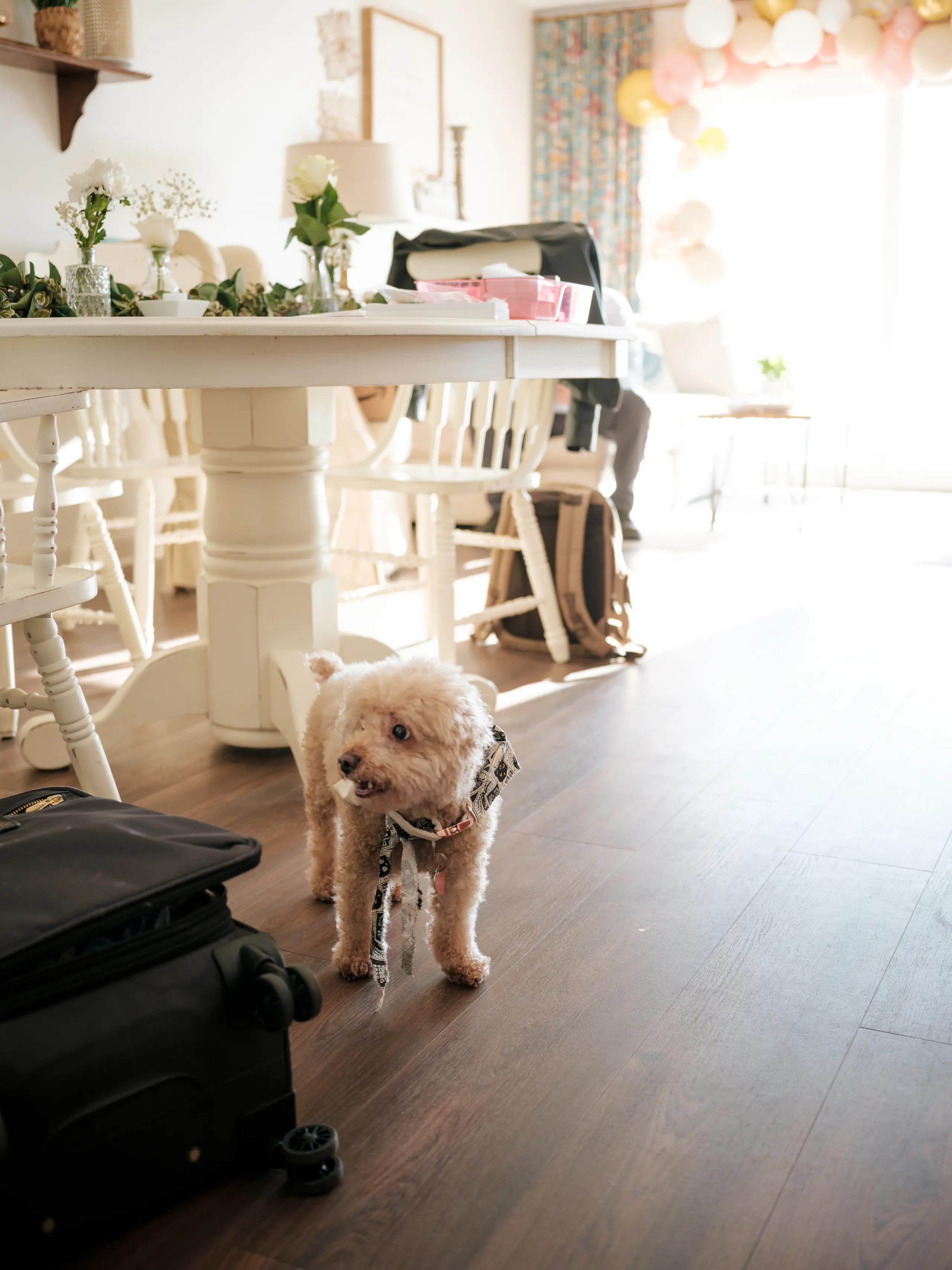 Wedding photography xiaolu ryan PINK0876