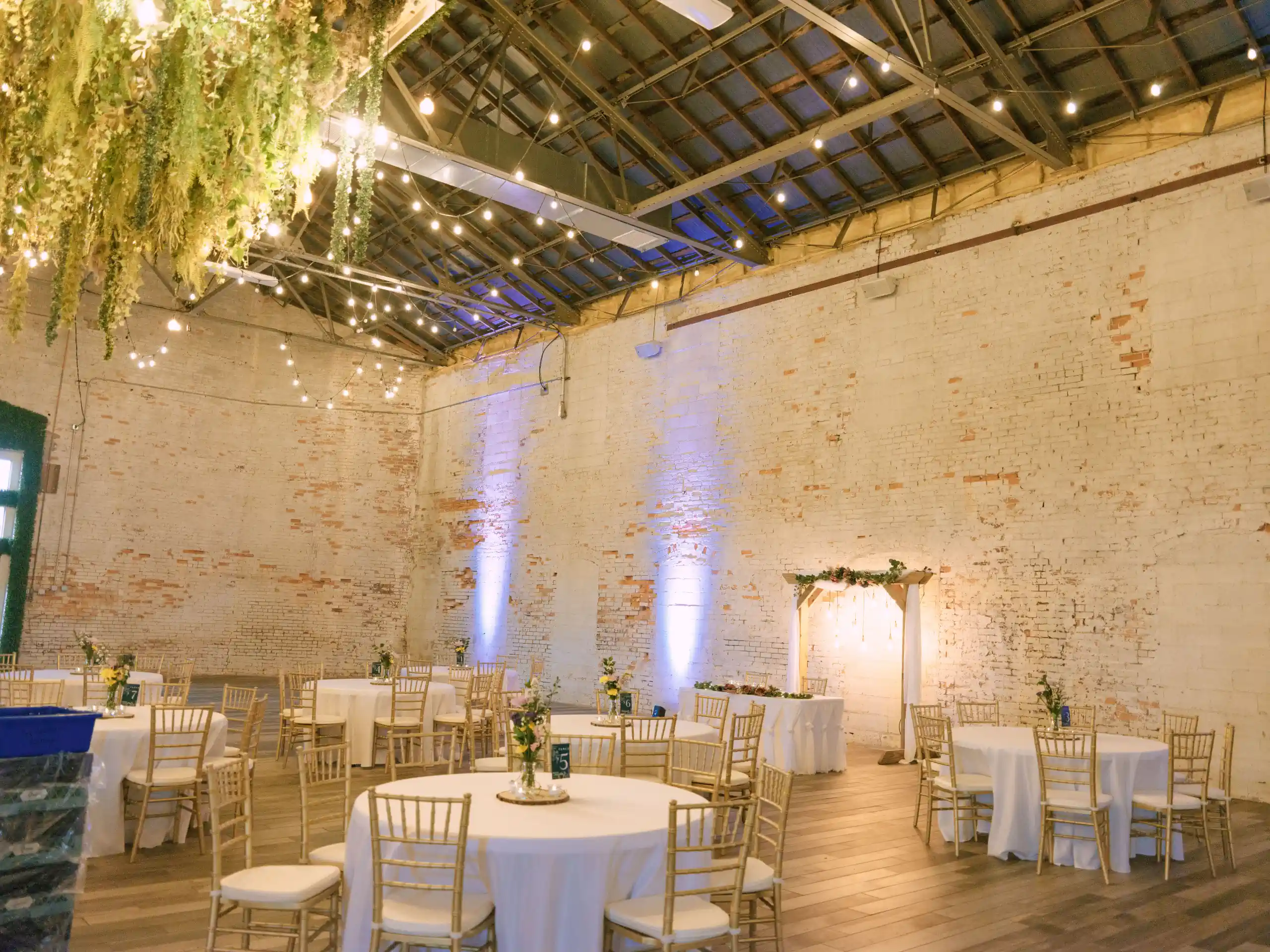 Wedding photography haley joseph PINK1932