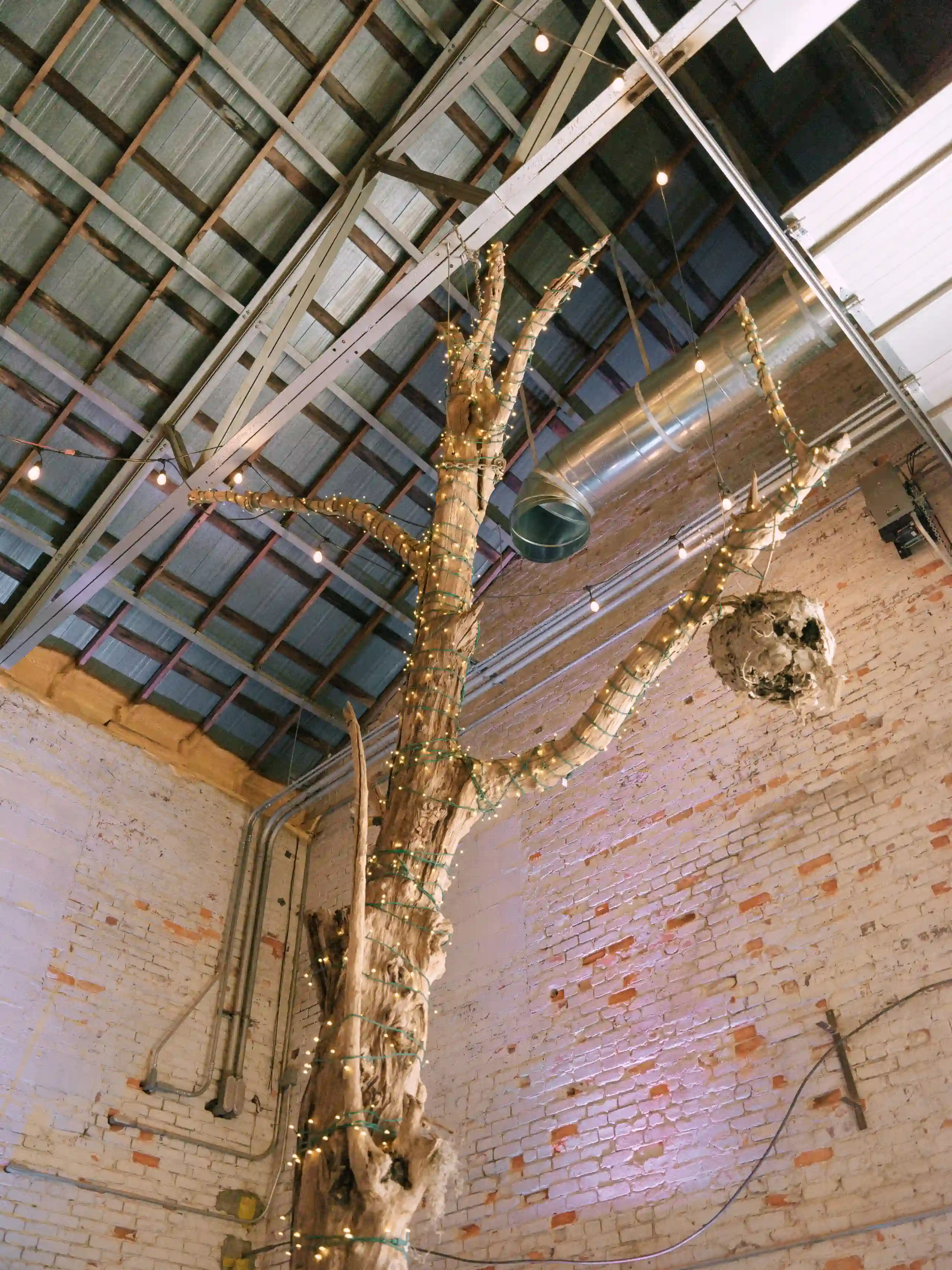 Wedding photography haley joseph PINK1967