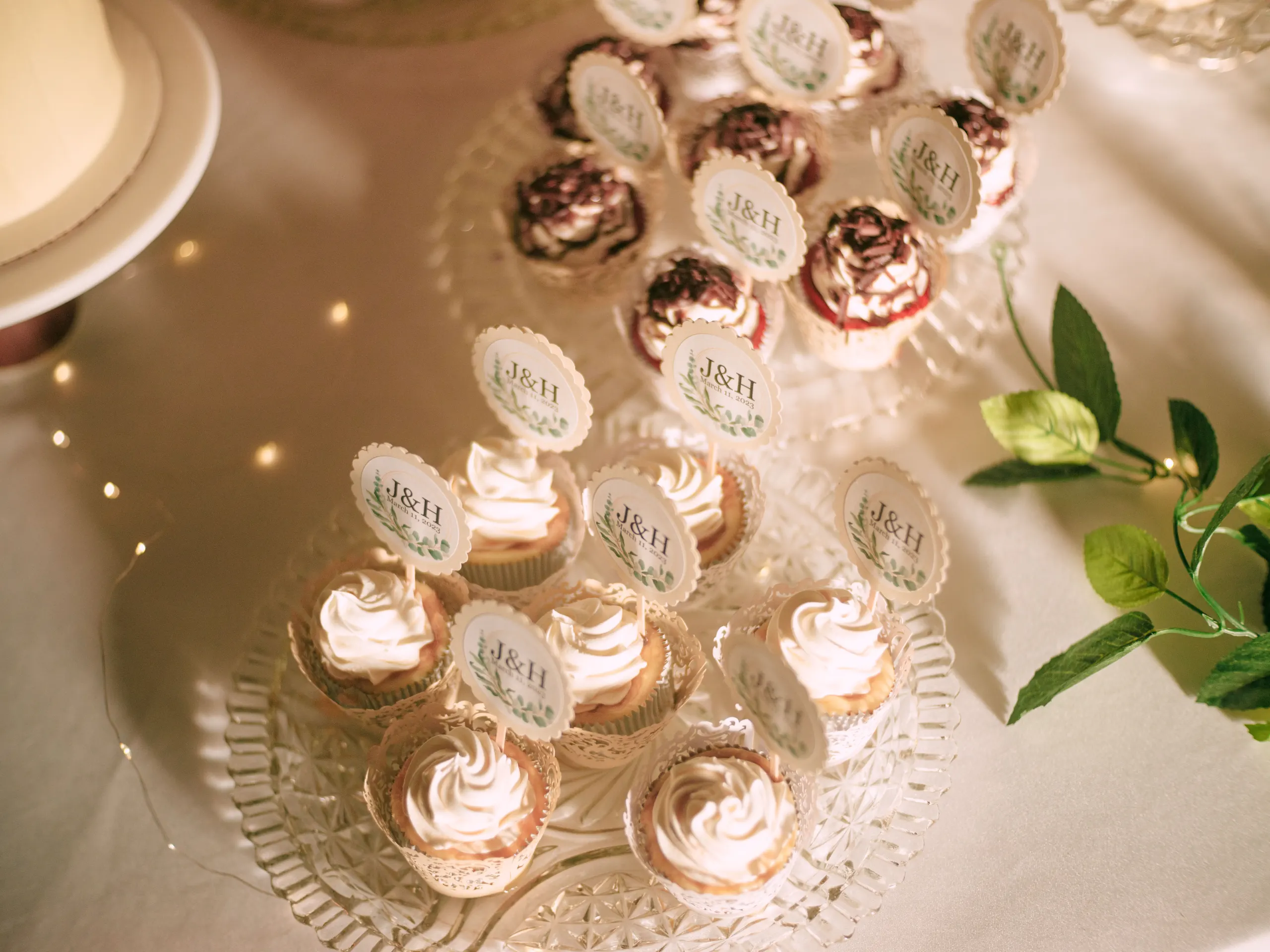 Wedding photography haley joseph PINK3269