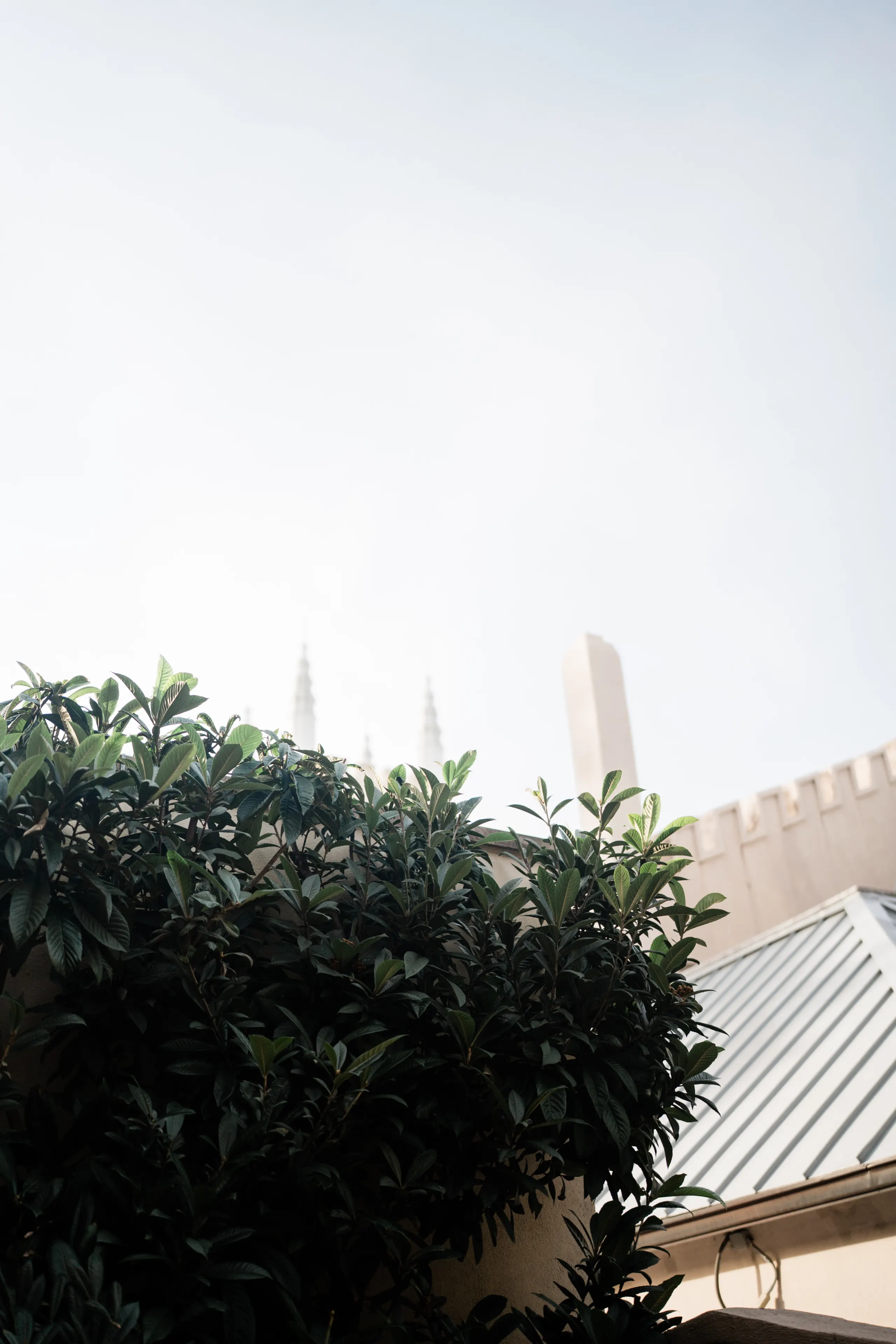 Wedding photography kaylee carter 777 6045