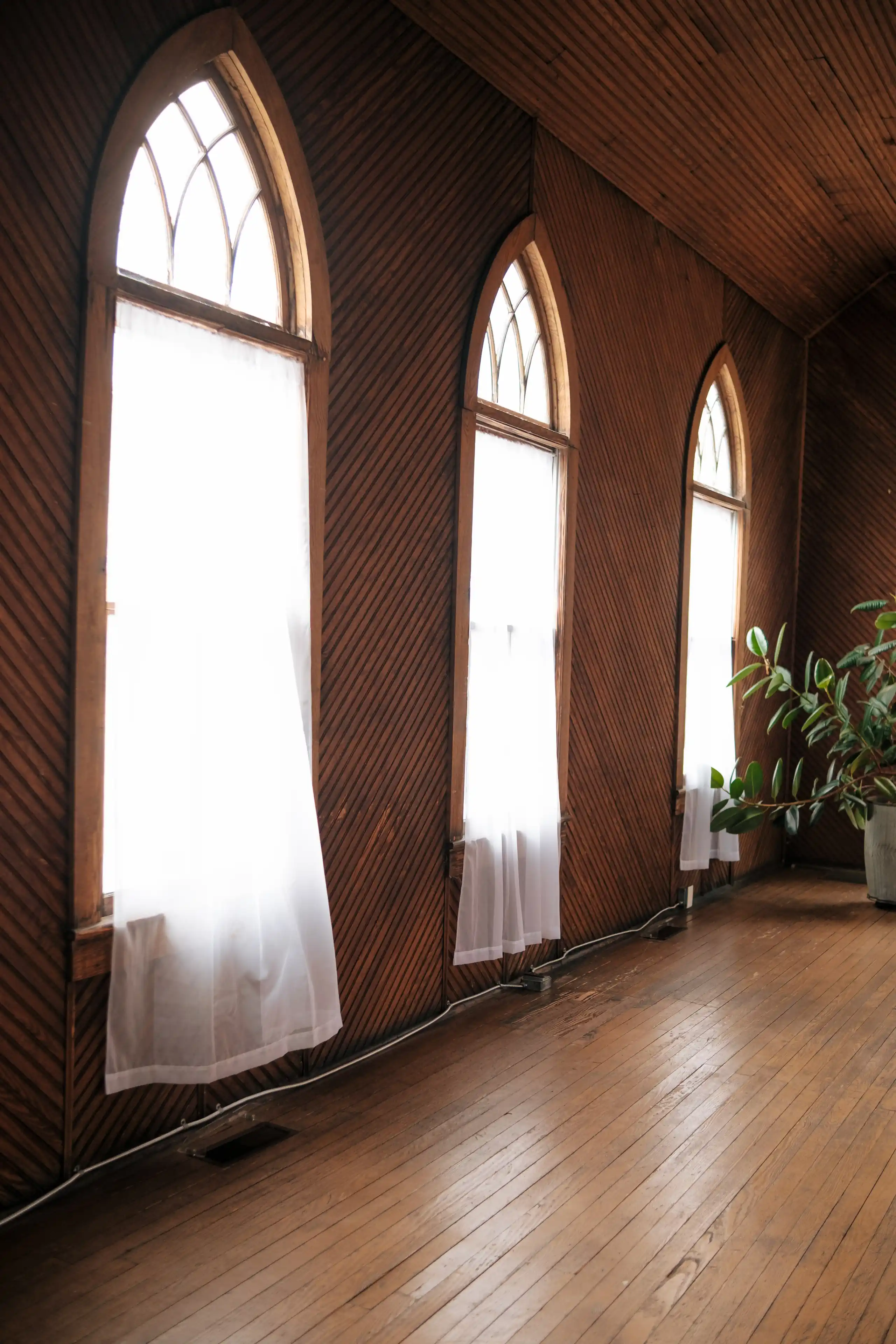 How to get married at Brookside Gardens | Maryland Wedding Photographer